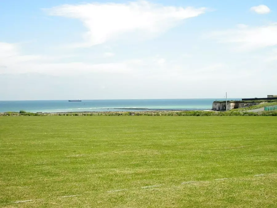 Endless grass to perch on, overlooking Palm Bay.